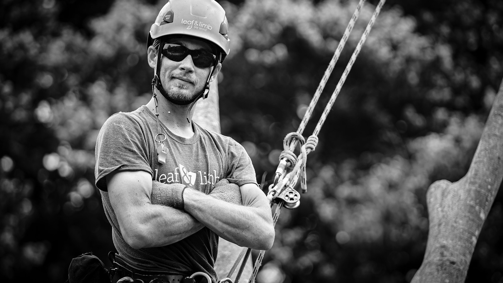A tree care crew member working on tree maintenance outdoors.