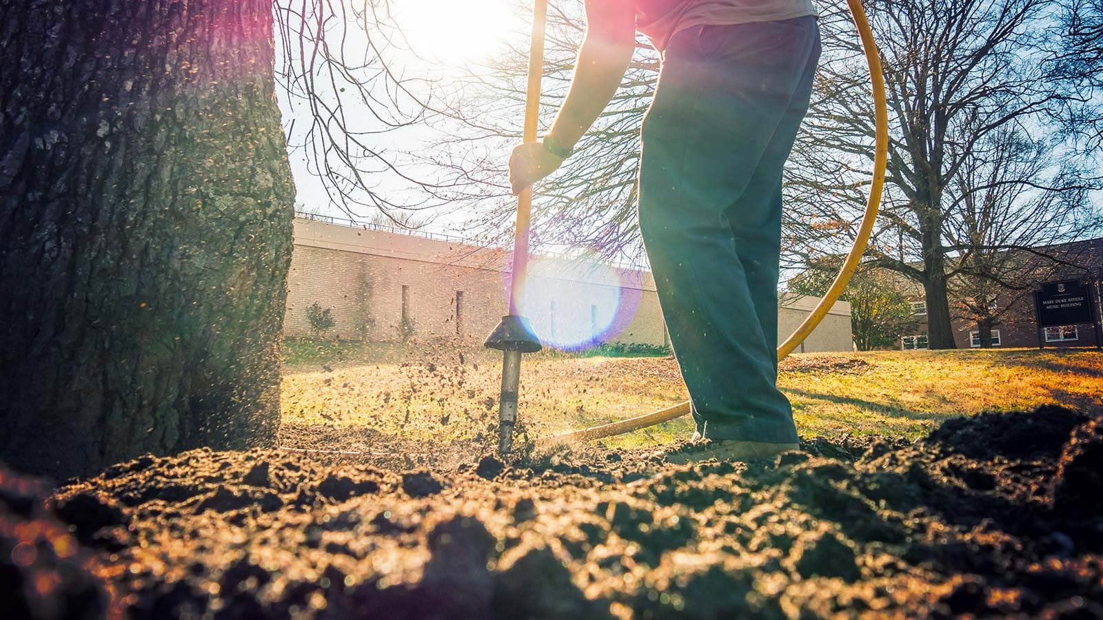 Soil being aerated and decompacted to improve tree root health.