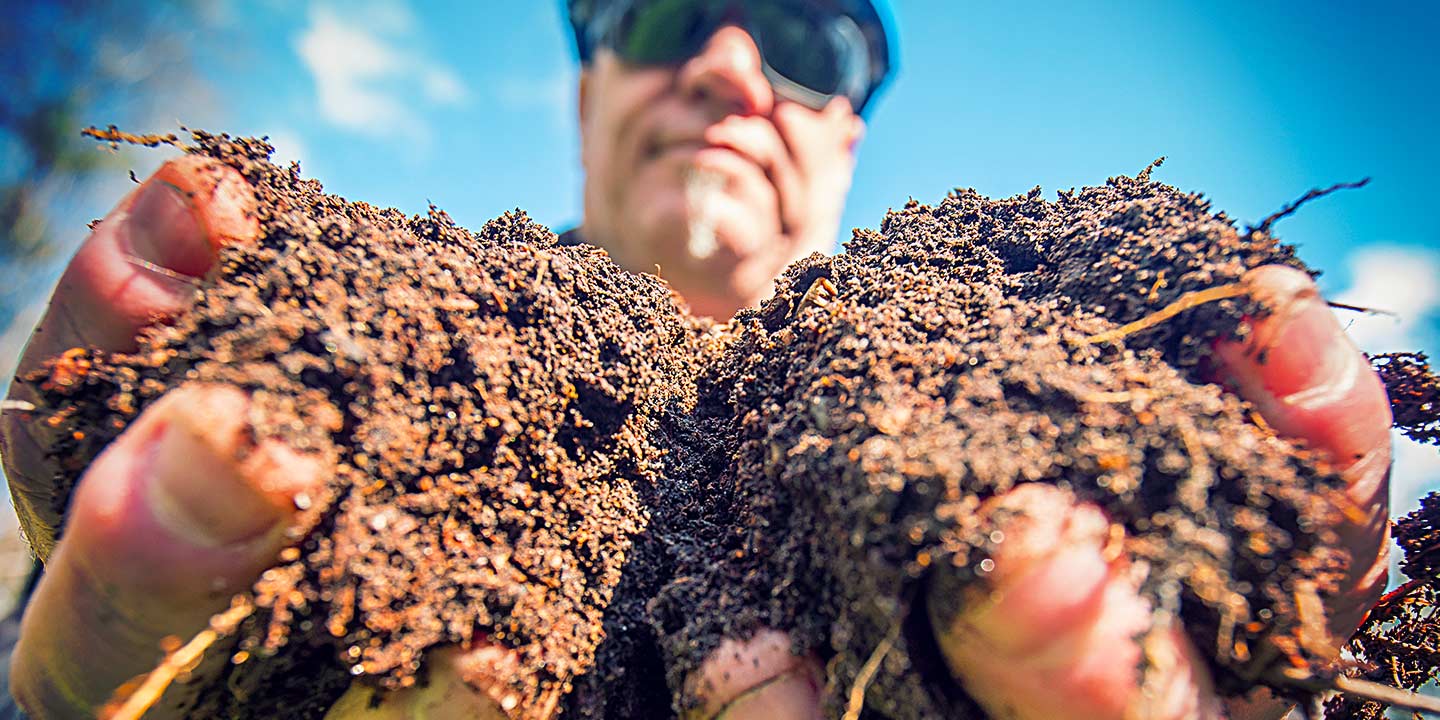 Rich, dark soil teeming with life and organic matter.