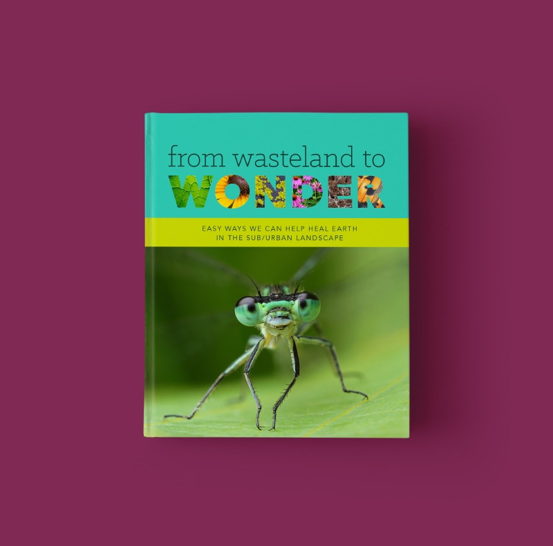 From Wasteland to Wonder book cover