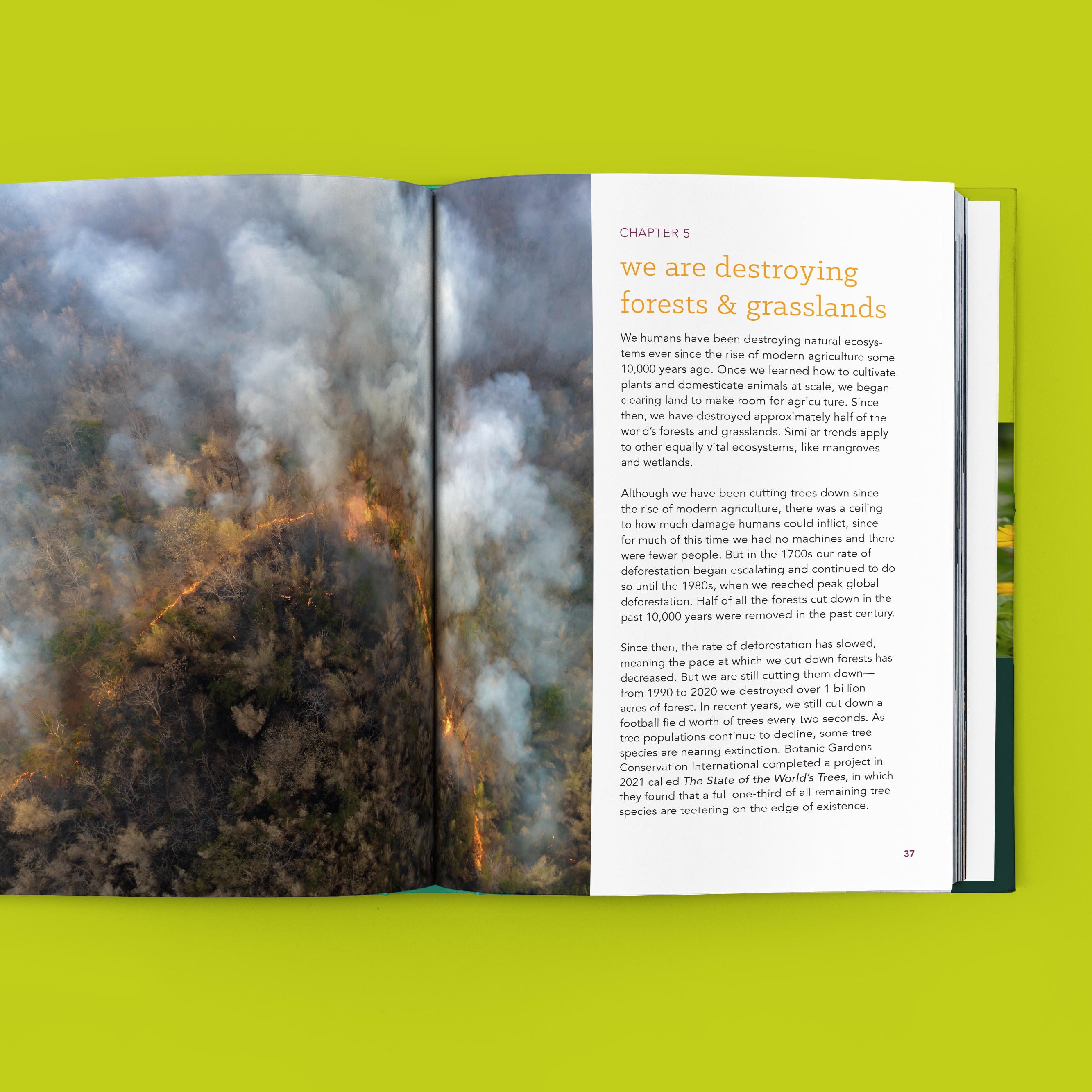 From Wasteland to Wonder book preview, featuring a chapter on how we are destroying forests and grasslands, showing a burning forest