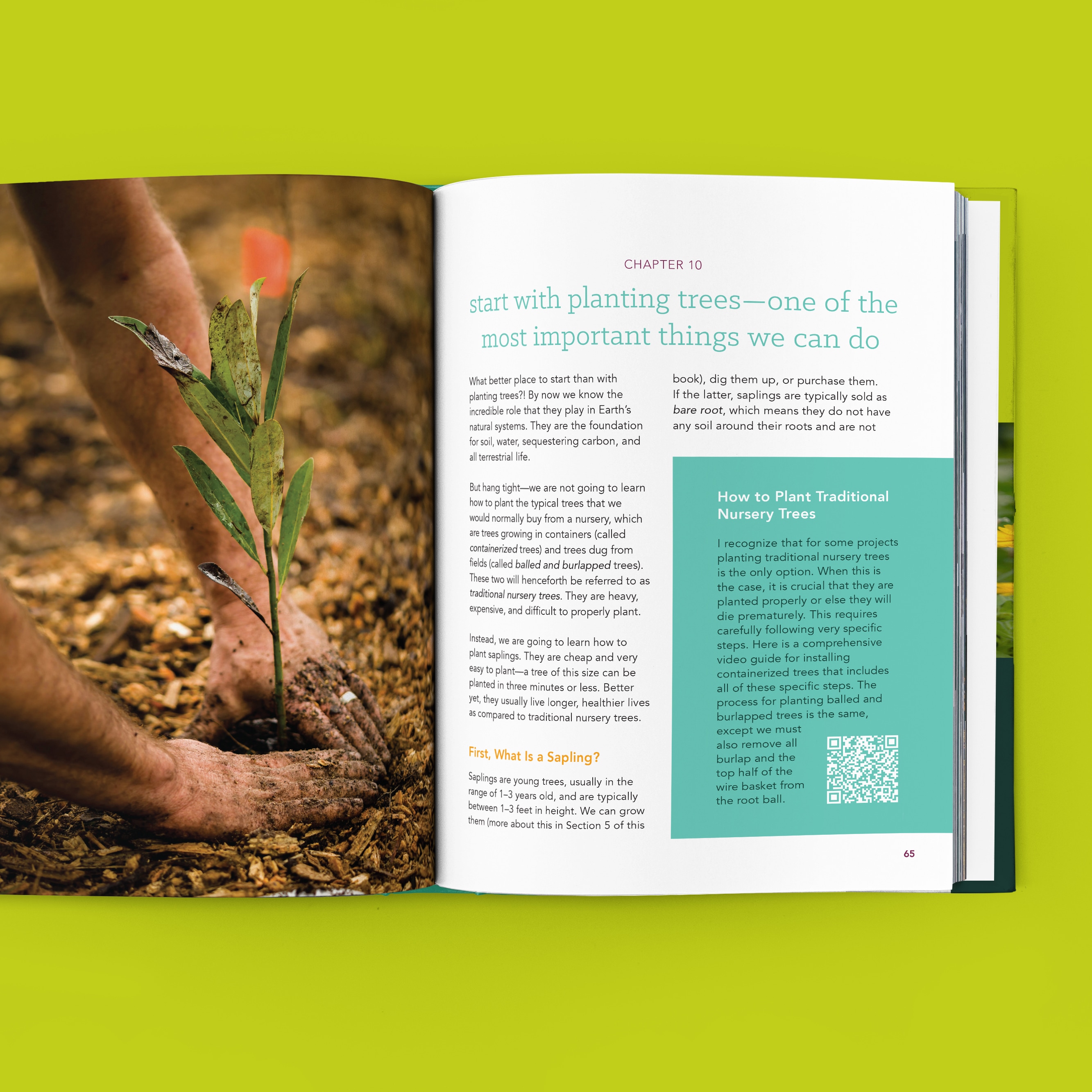 From Wasteland to Wonder book preview, featuring a chapter instructing readers to start with planting trees, one of the most important things we can do, showing tree planting 