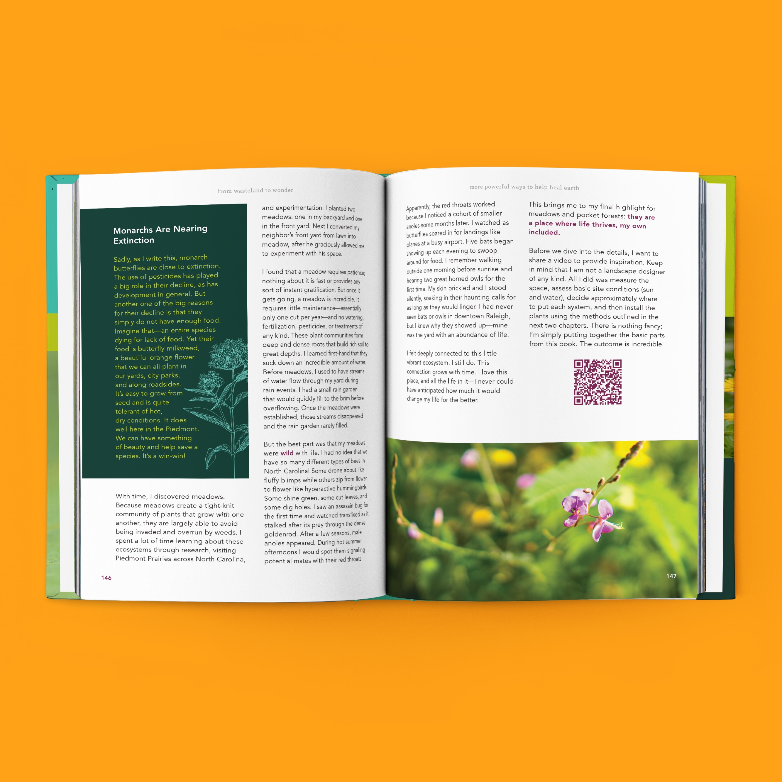 From Wasteland to Wonder book preview, featuring content on meadows and how monarch butterflies are nearing extinction