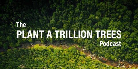 The Plant a Trillion Trees Podcast