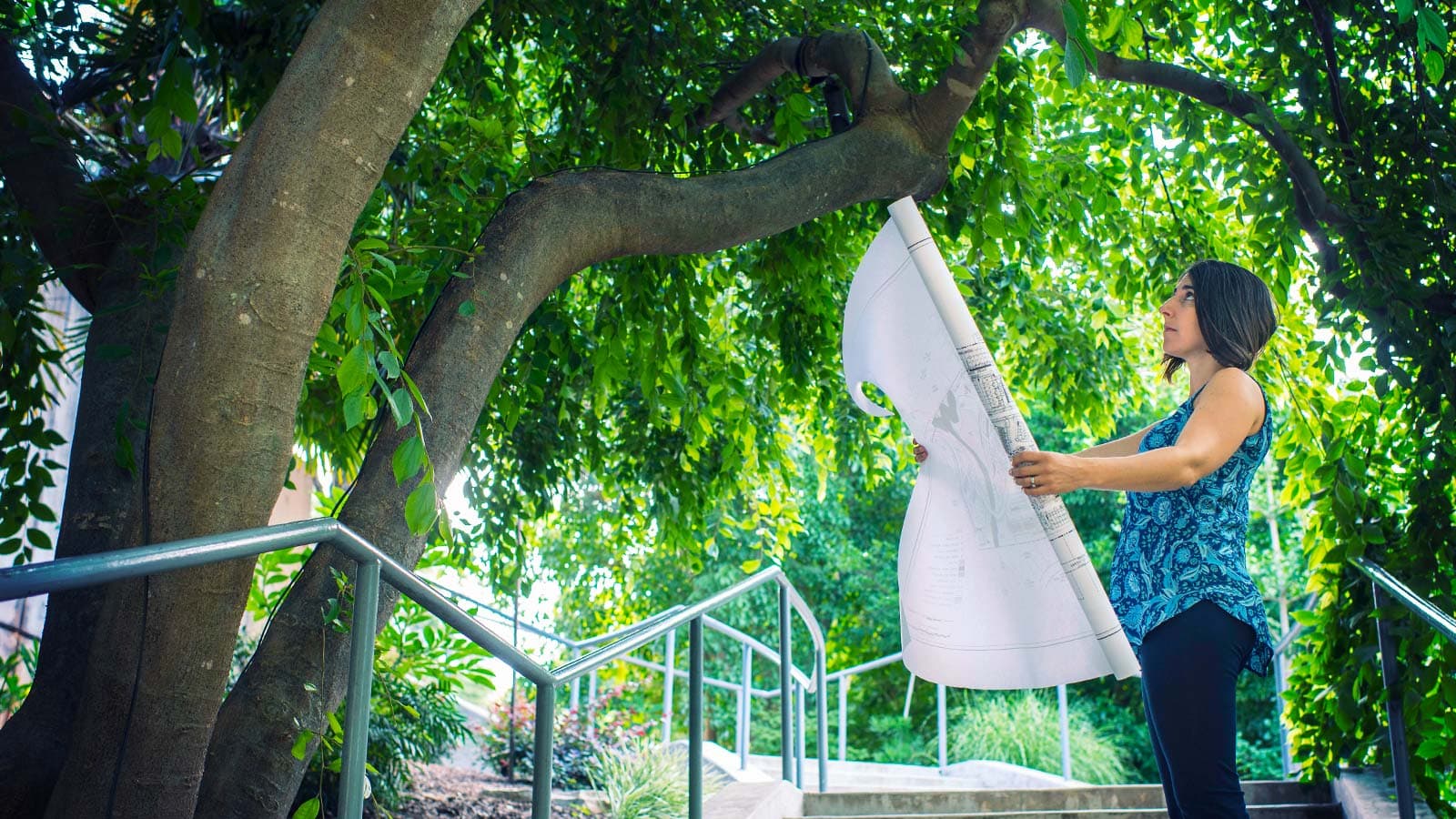 Tree consulting service, arborist examining tree