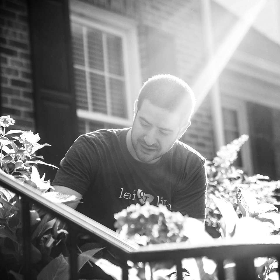 team member pruning bushes in the sunlight