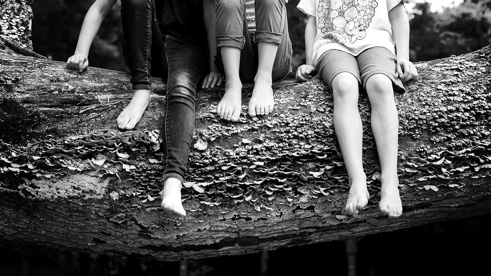 Tree with fungal disease, leaf spots visible