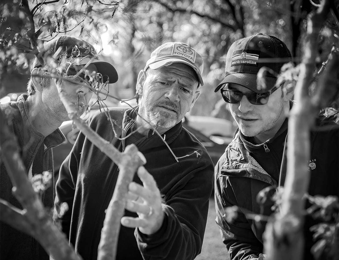 Leaf & Limb team at work outdoors