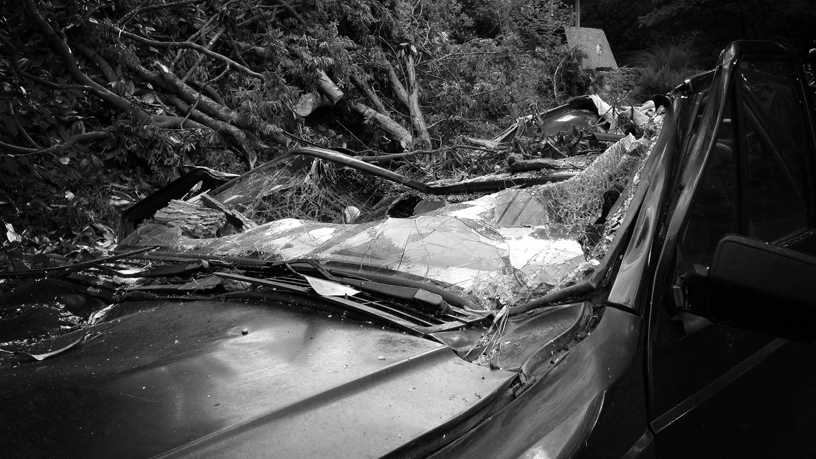 Tree limb crushing a car, risk to homeowner without proper insurance