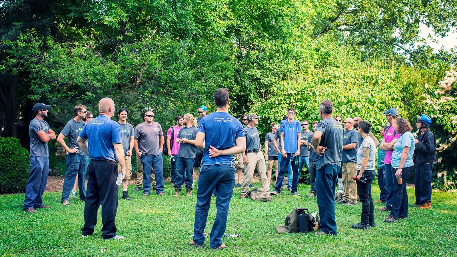 Tree care company and employees with proper insurance coverage