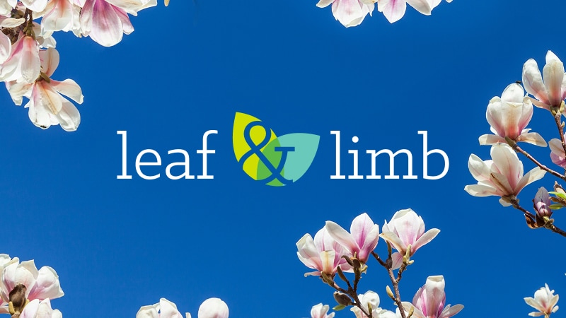 Leaf & Limb