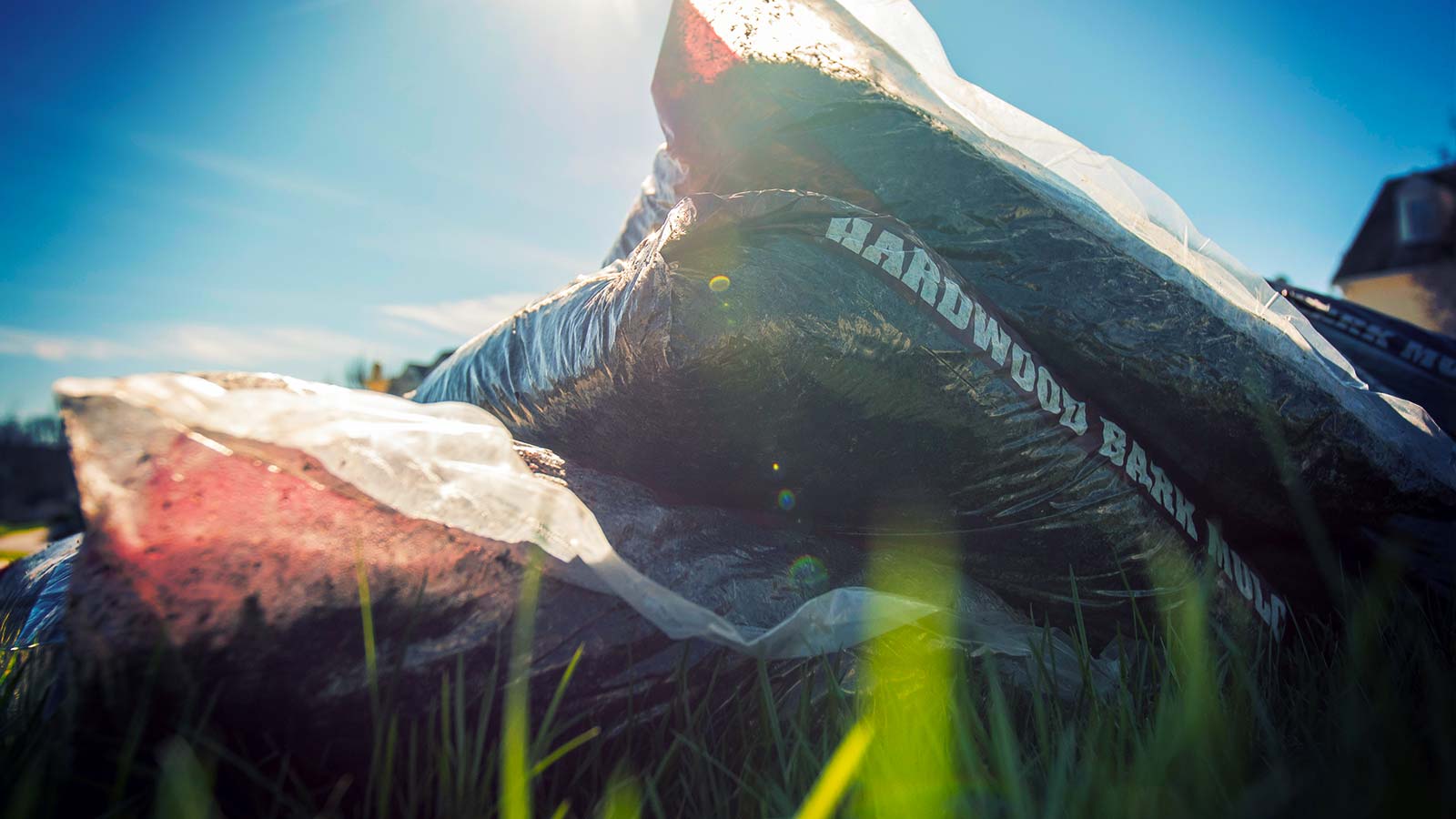 Different types of mulch for trees