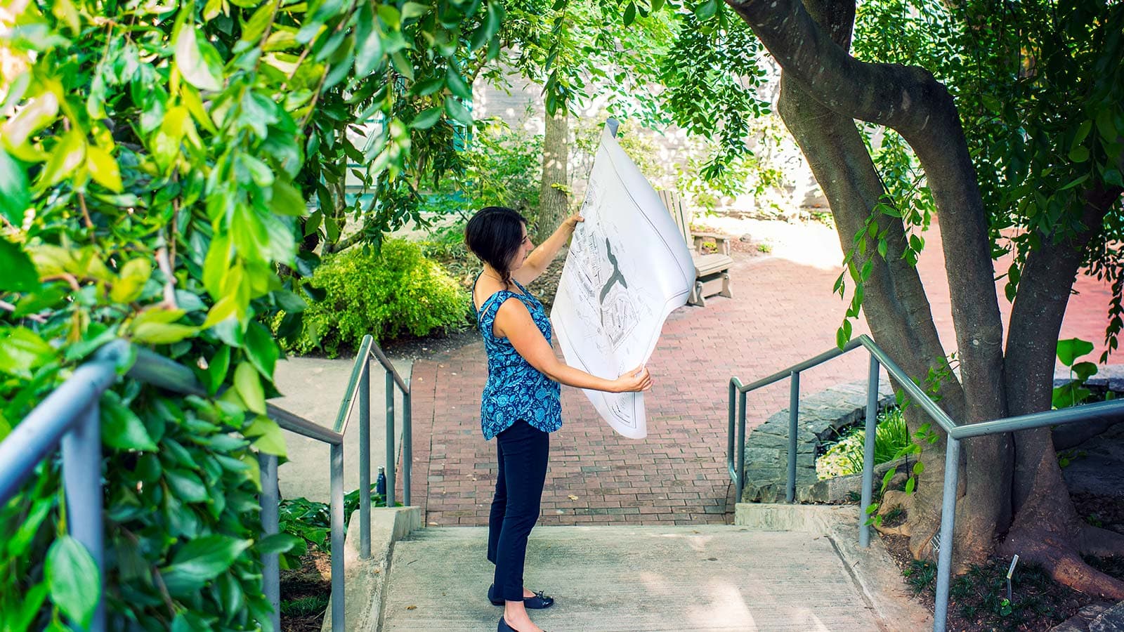 Digging a hole for proper tree planting