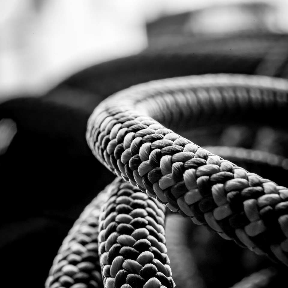 Closeup view of rope used in tree climbing and maintenance