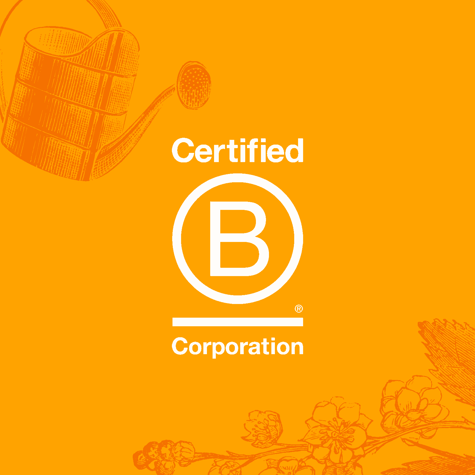B Corp logo