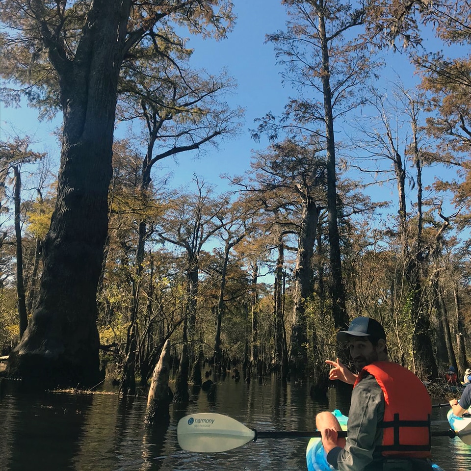 Photo of EB of Leaf & Limb kayaking in the Tree Sisters Swamp, surrounded by old-growth Bald Cypress trees