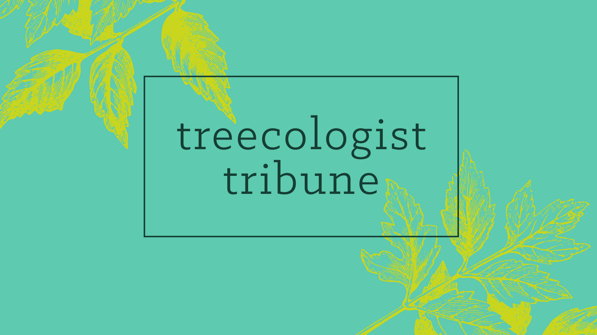 Treecologist Tribune newsletter header design