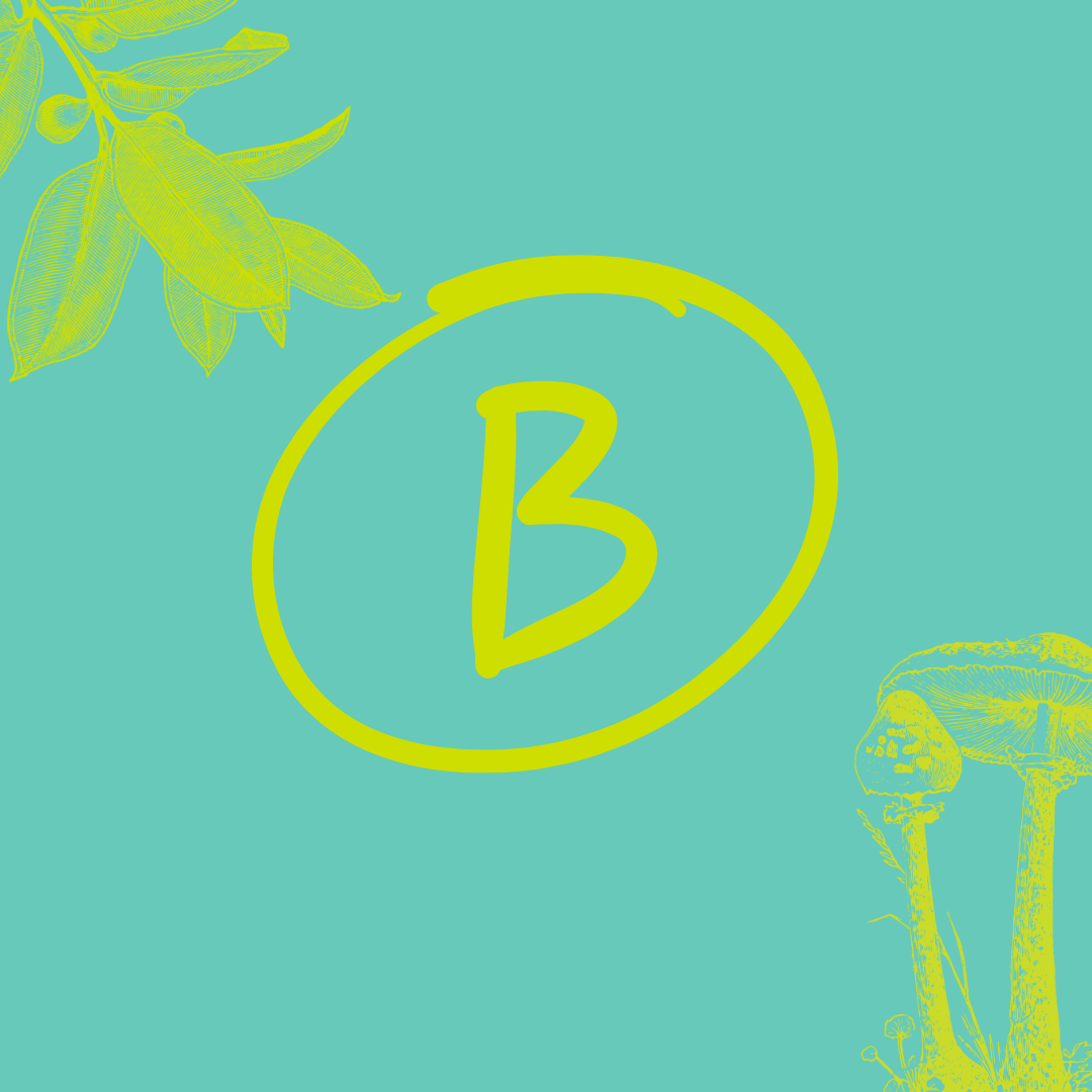 Removing or shortening branches to create space between the tree and structures, sidewalks, roadways, or utilities. Focuses on mitigating conflict between trees and human infrastructure. Best done when trees are young to minimize the size of pruning wounds.