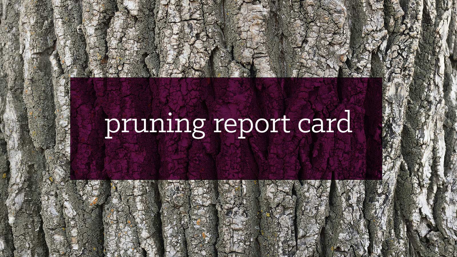 Guide to types of tree pruning (A–F grading) for homeowners. Text reads: pruning report card.