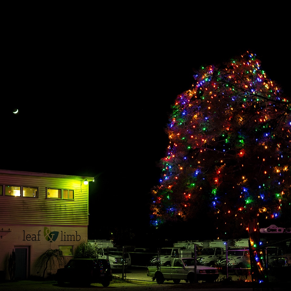 Happy Holidays from all of us at Leaf & Limb.