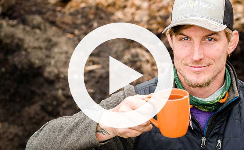 Compost tea being poured for healthy trees