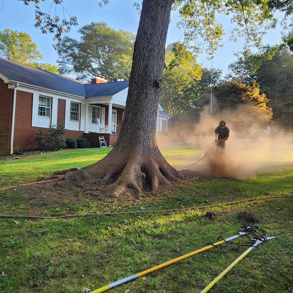 We spent many days giving soil space to breathe.