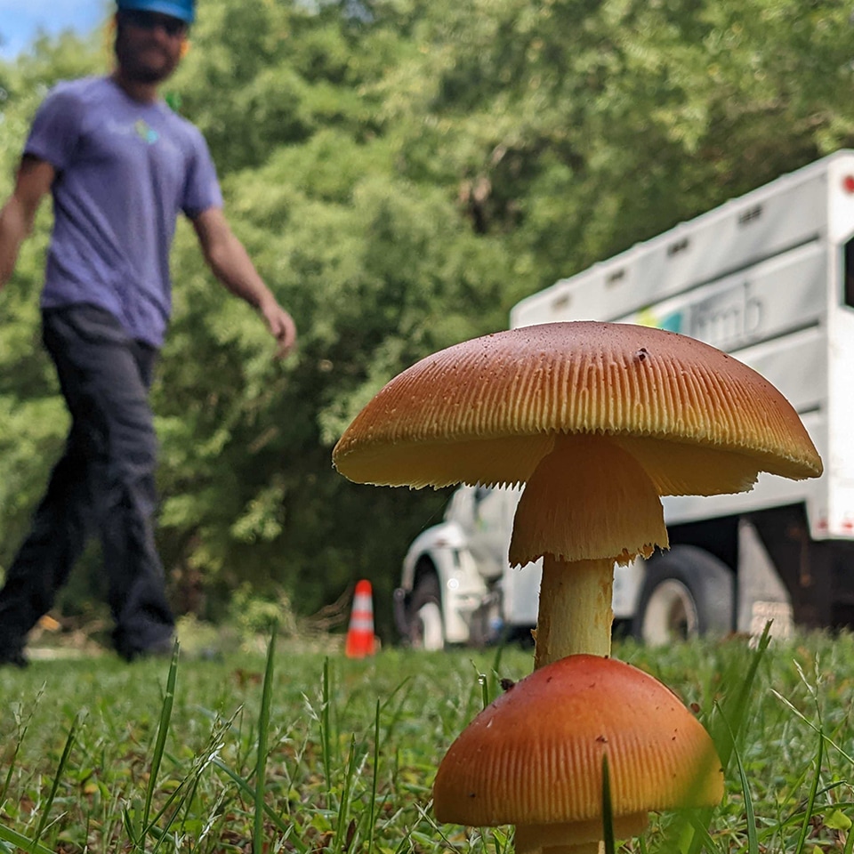 Taking a moment to view the world from all angles.