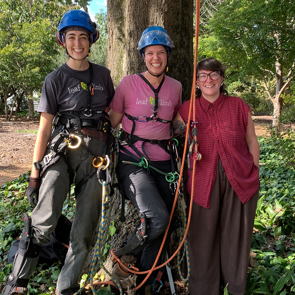 We volunteered with the Coastal Pines Girl Scouts Troop and showed the scouts how to help trees in our community, the tools we use to assess tree health, and even had a tree climbing demonstration!
