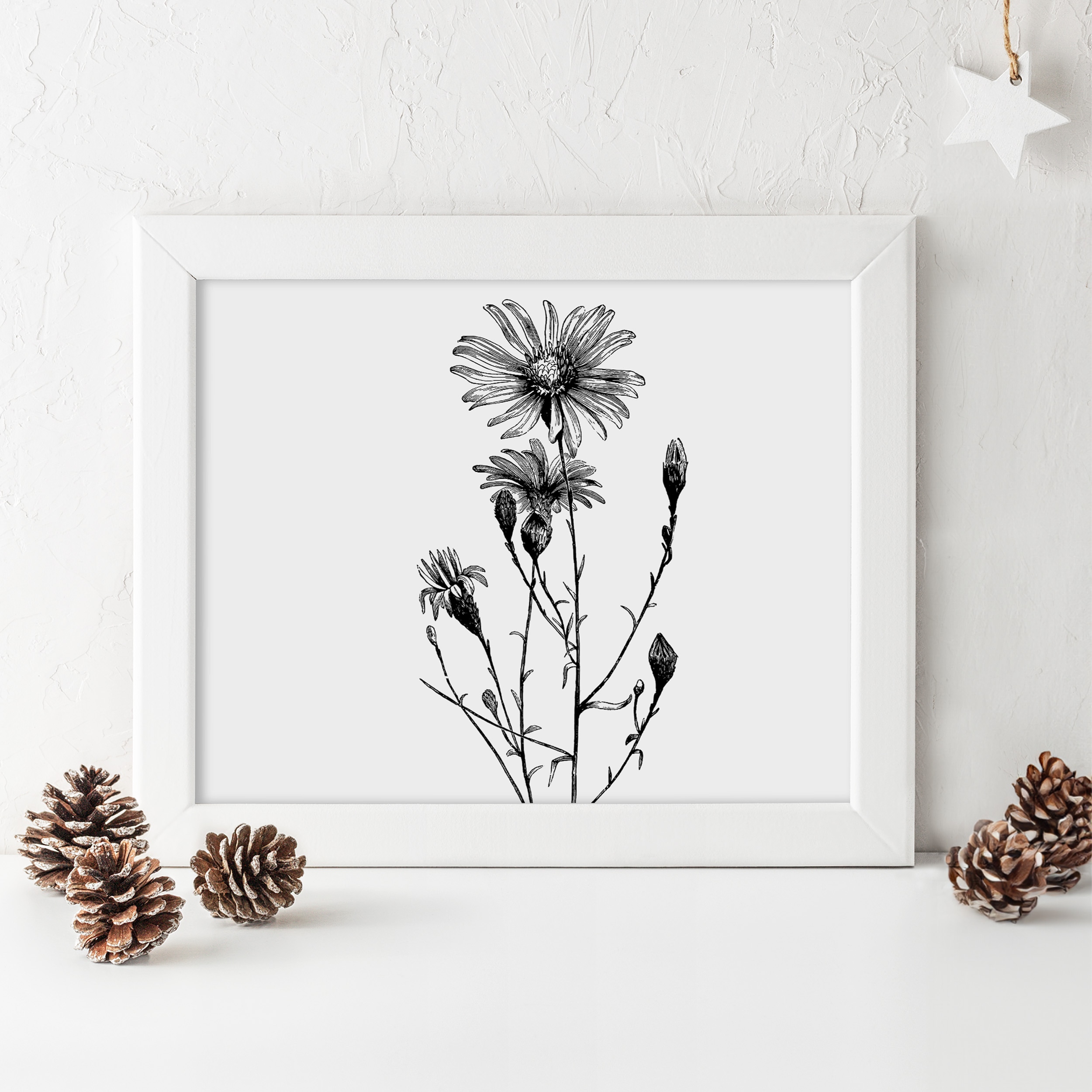 Piedmont Prairie, native wildflower meadow for tree companions