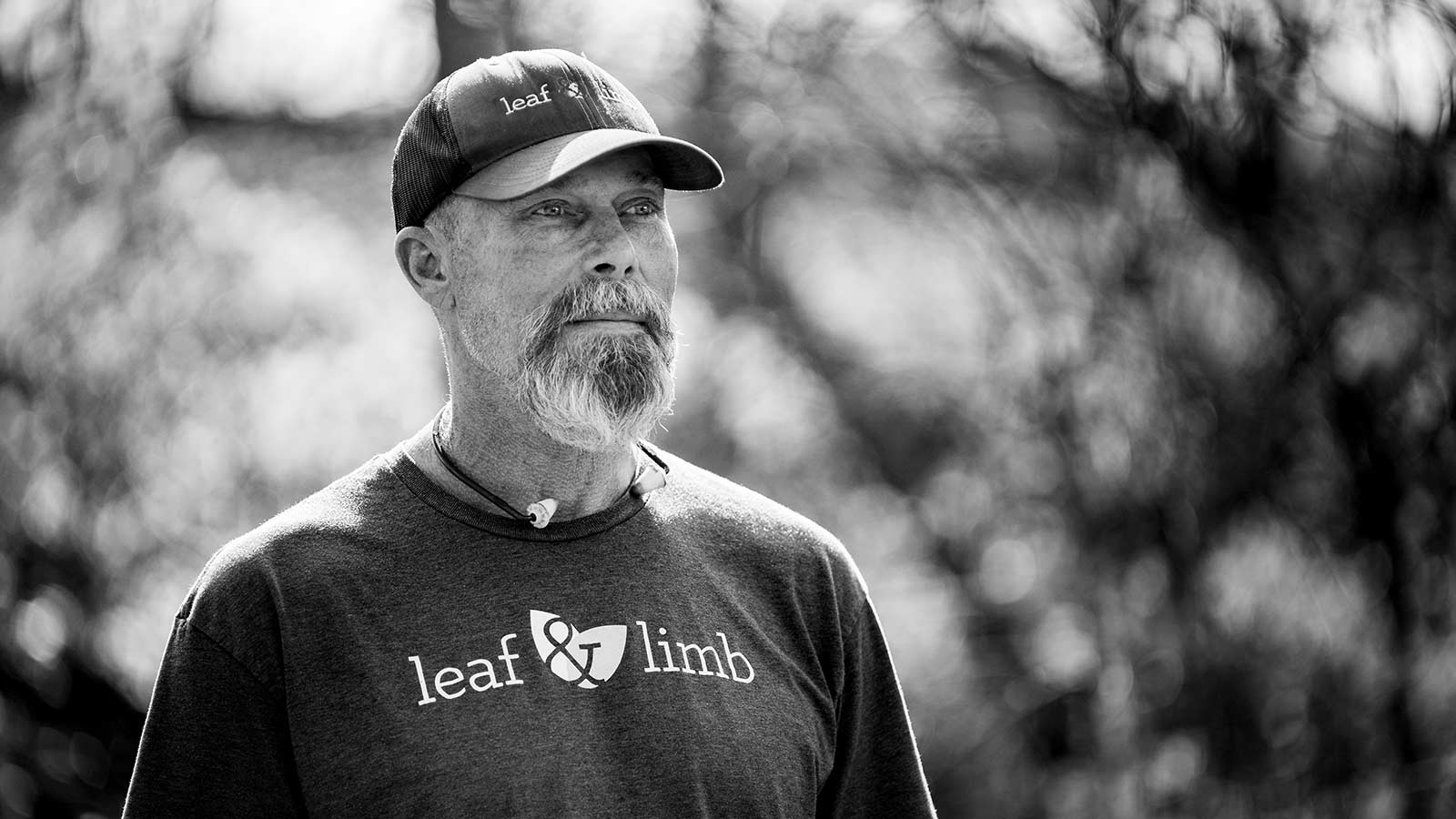Kelly, an arborist, working with trees