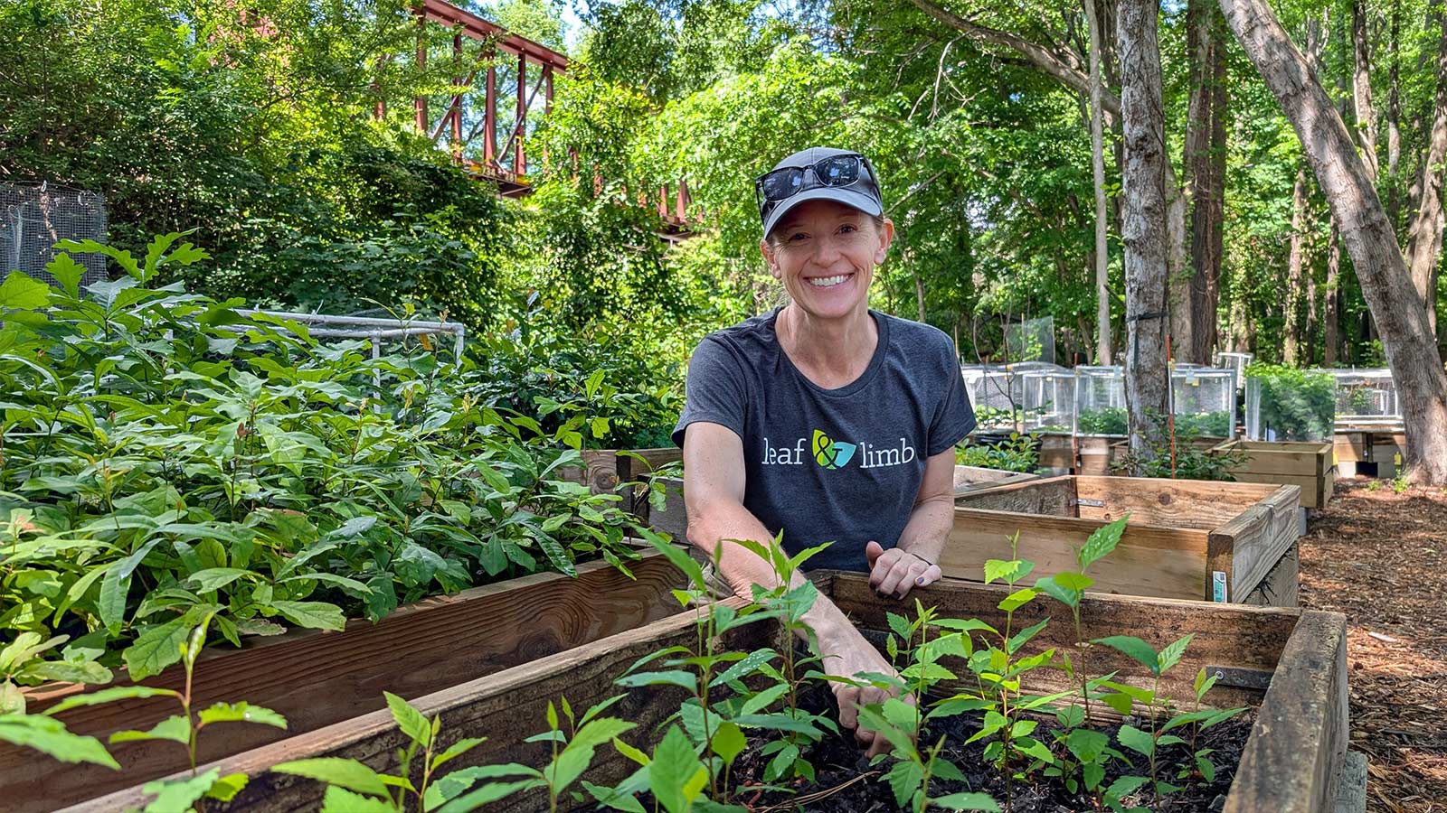 Caroline tending to native tree seedlings