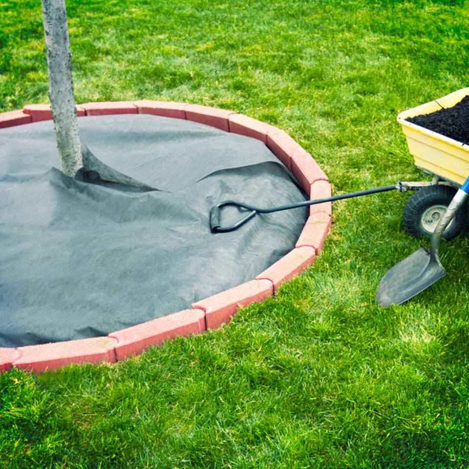 Landscape fabric used as mulch alternative