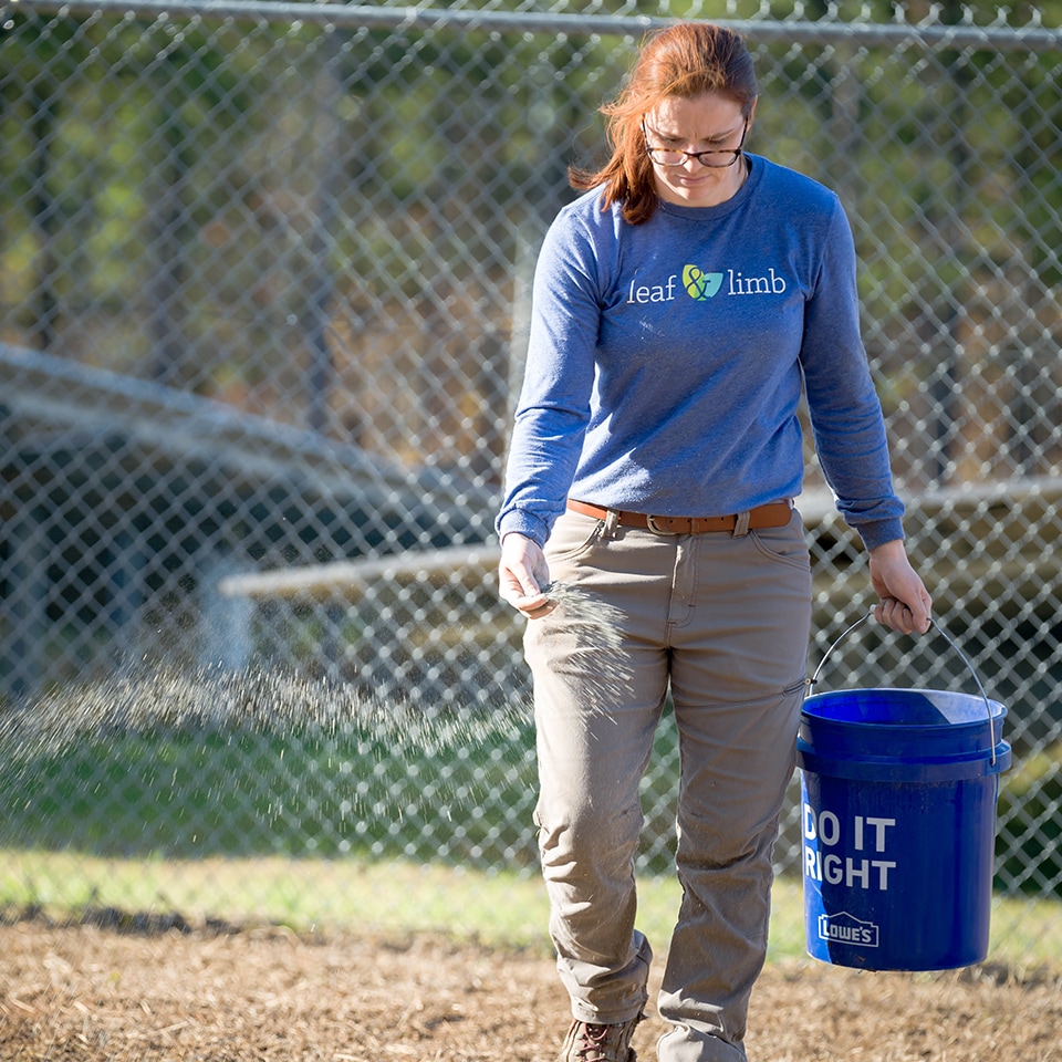 Spreading native wildflower seeds for meadow creation