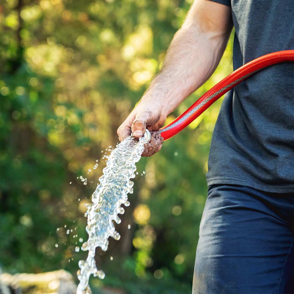 Watering a newly planted tree