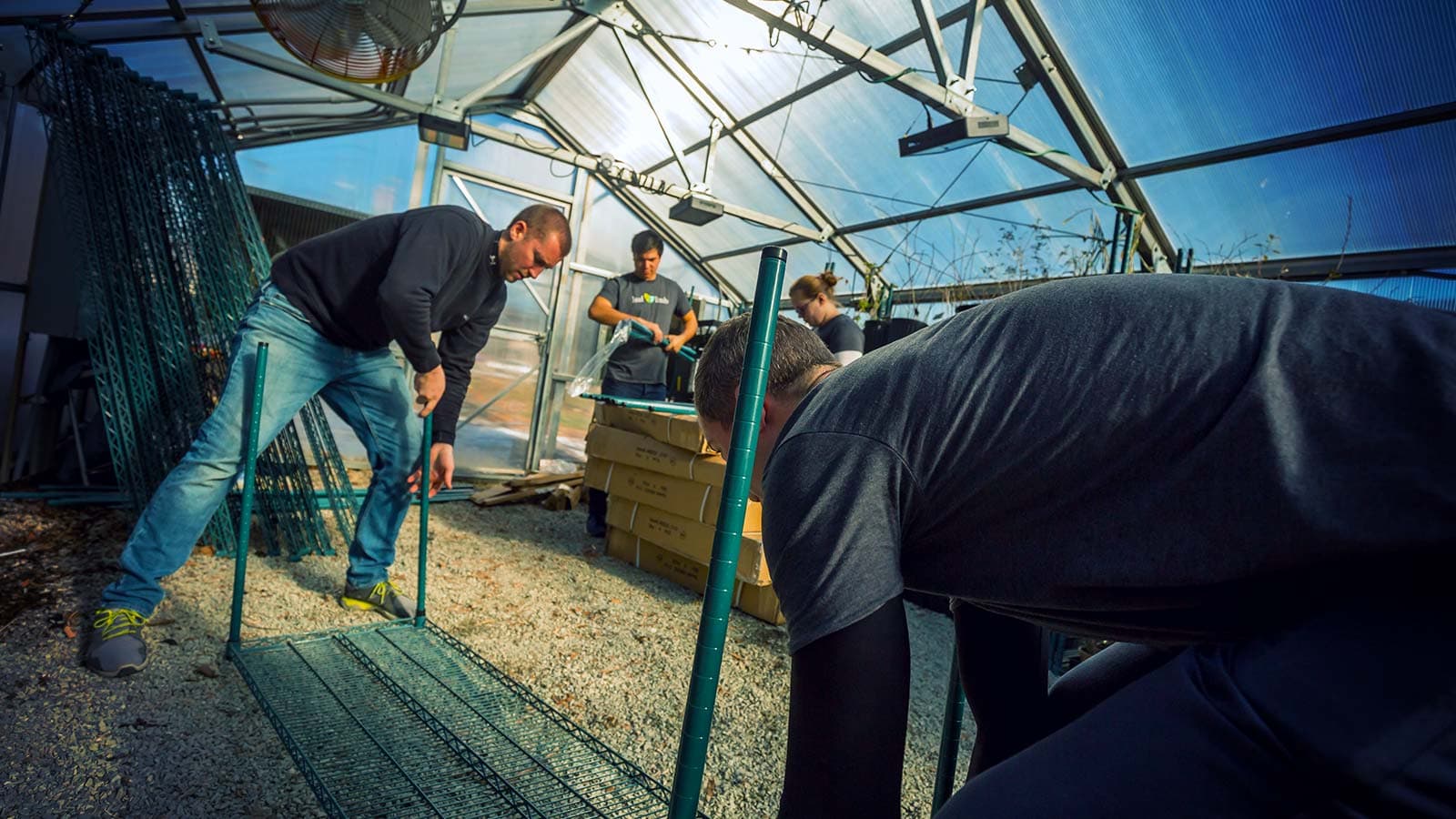 Volunteers collecting native tree seeds