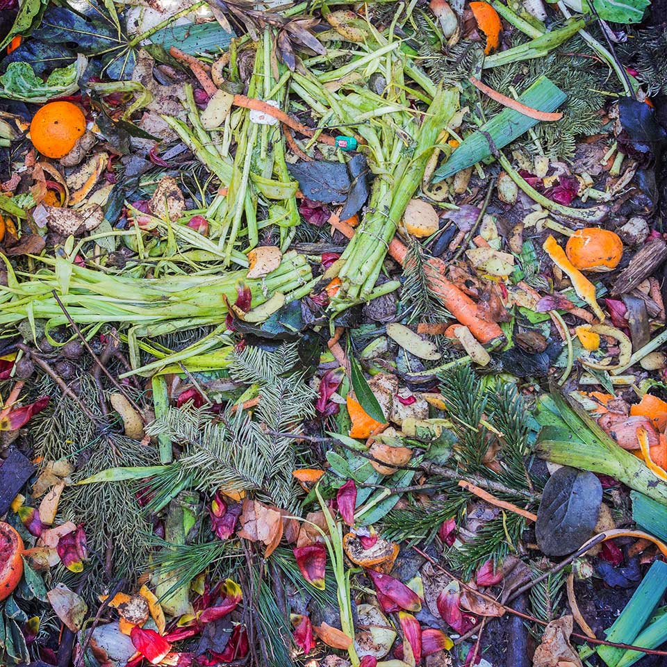 Compost added to soil for plant health