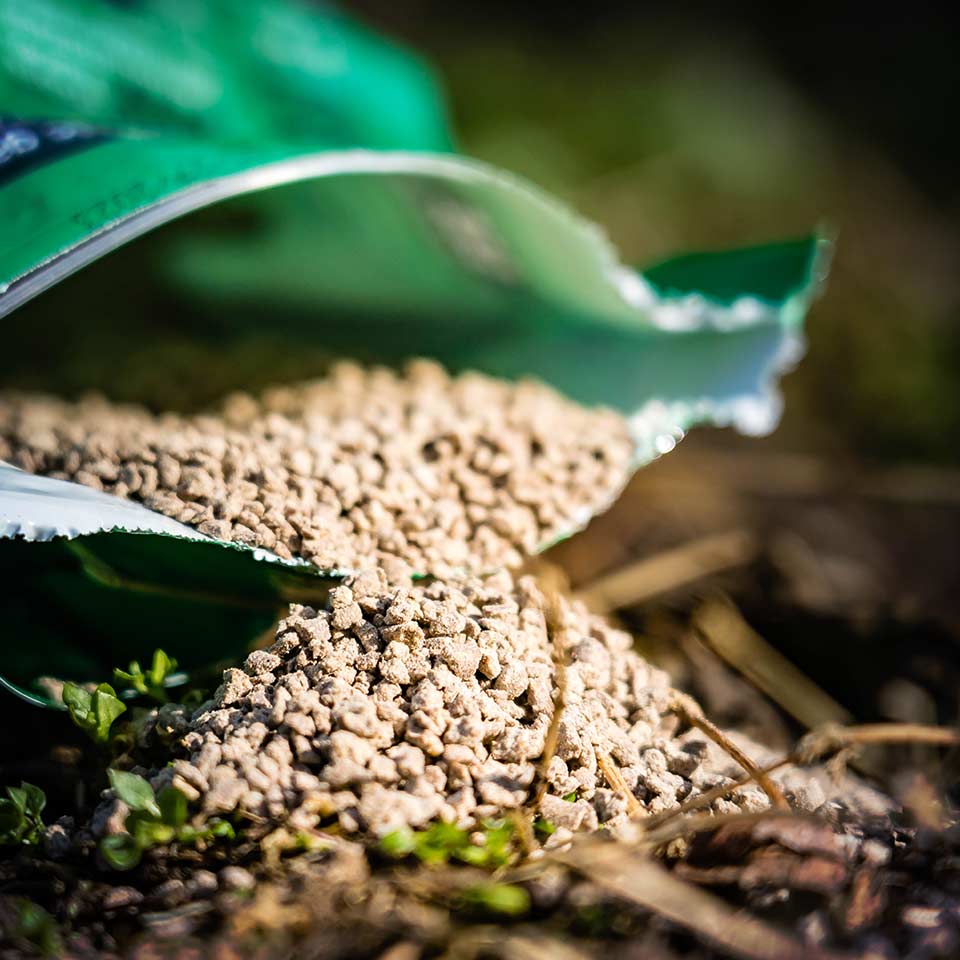 Soil with organic fertilizer applied