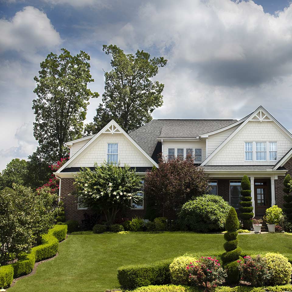 Trees shading a house, increasing energy efficiency