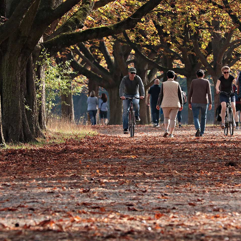 Tree-lined urban park, reducing stress and health risks