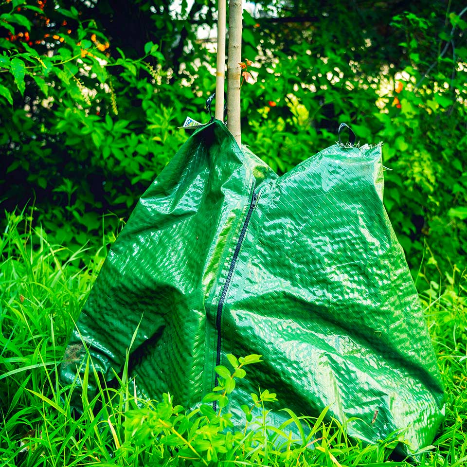 Treegator watering bag installed at base of tree