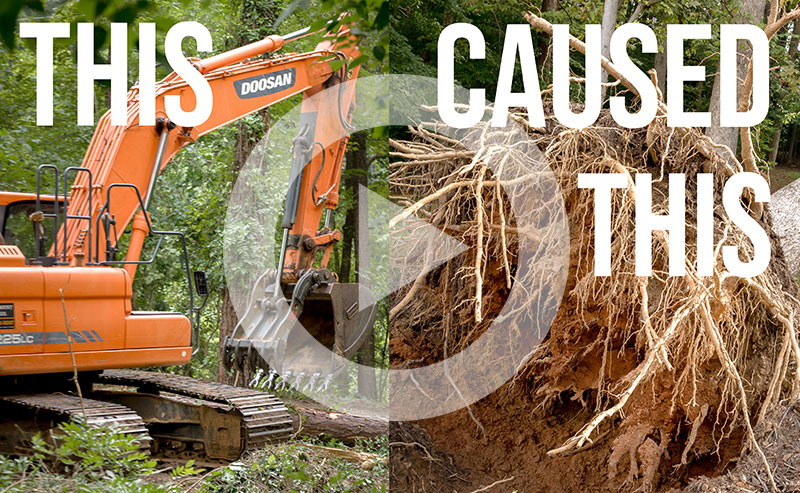 A video about tree root damage from construction and repair methods.
