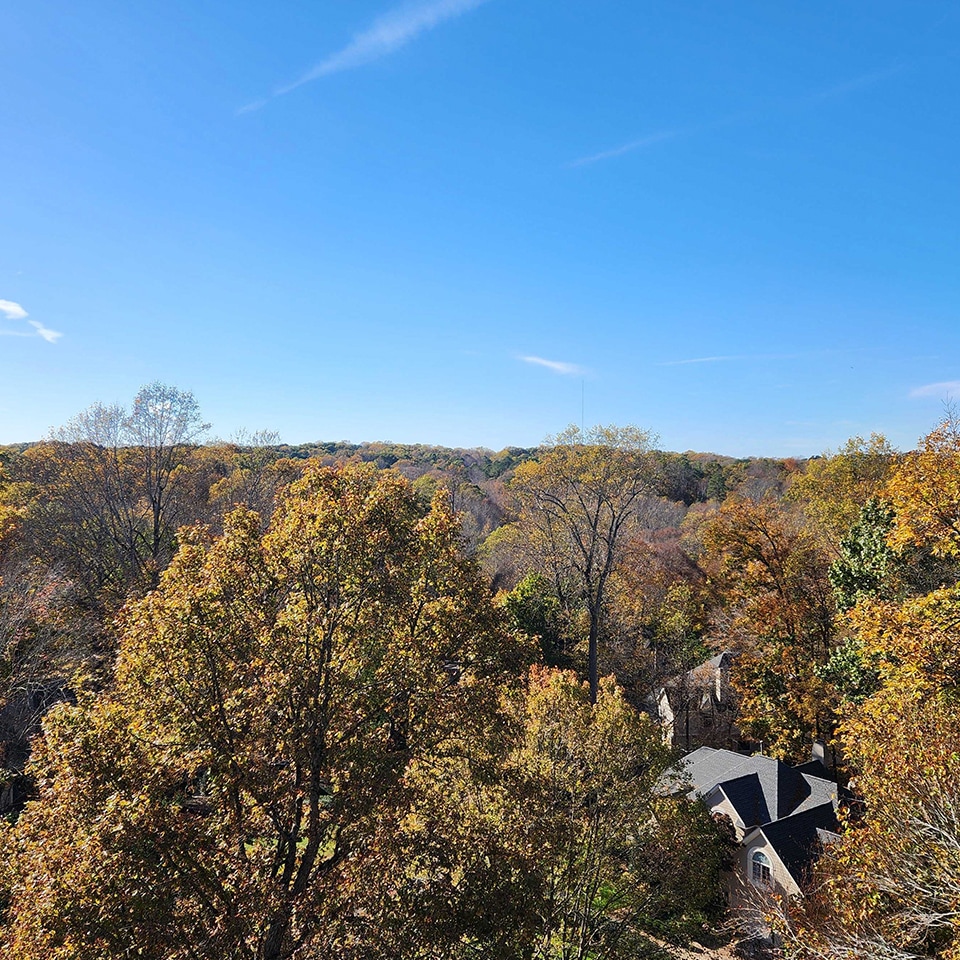 ...and enjoyed the sights from the top.