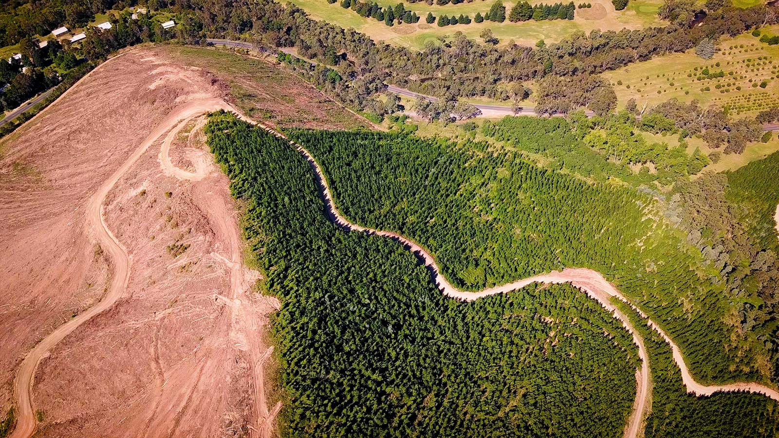 Deforestation aereal photo