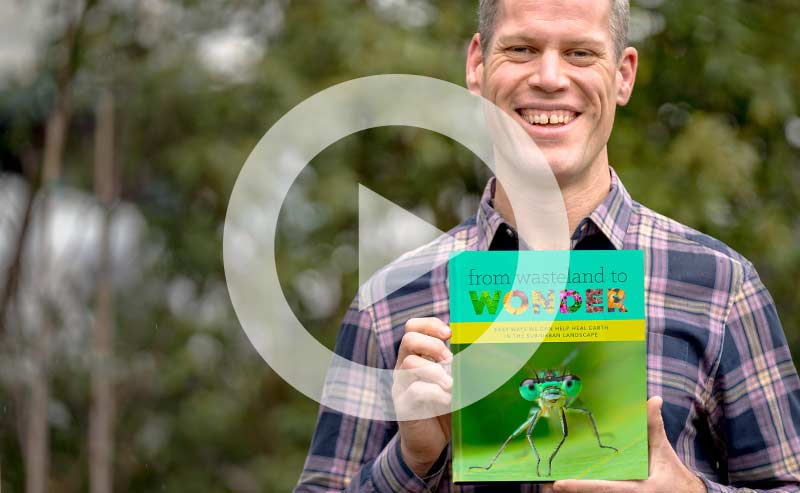 Book cover and video about healing Earth from wasteland to wonder.