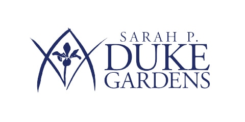 Tree Care with Leaf & Limb