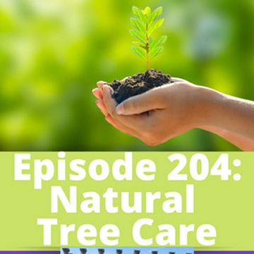 Natural Tree Care - GardenDC: The Podcast about Mid-Atlantic Gardening